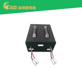 電動車電池批發(fā) 好品質源于東莞強力 電動車電池代理